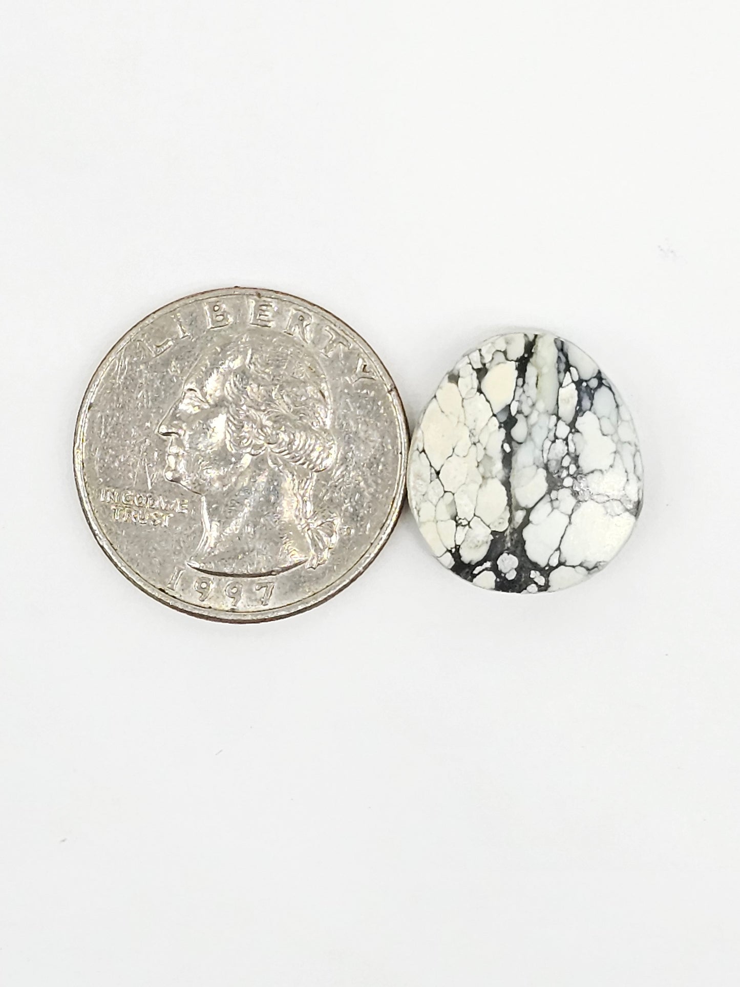 Dark Moon Variscite Cabochon
