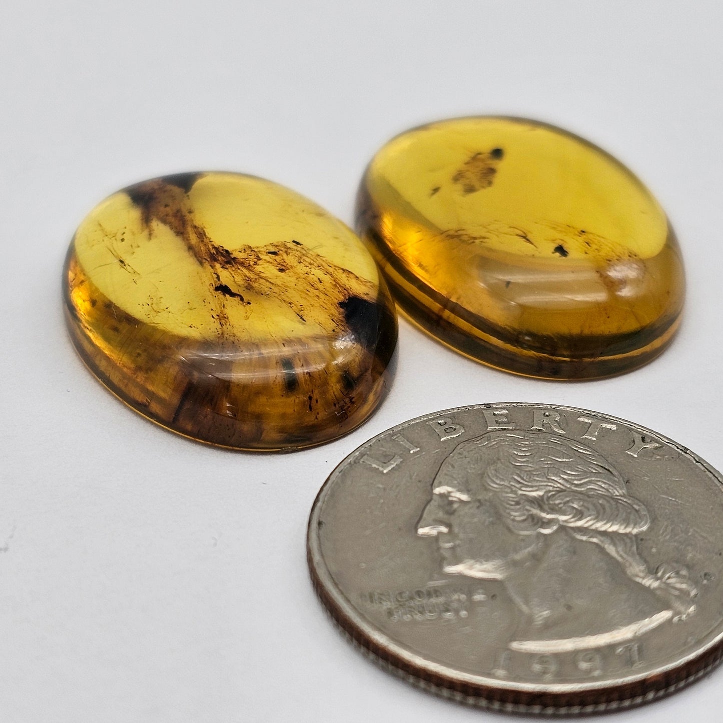 Amber authentic cabochon pair large