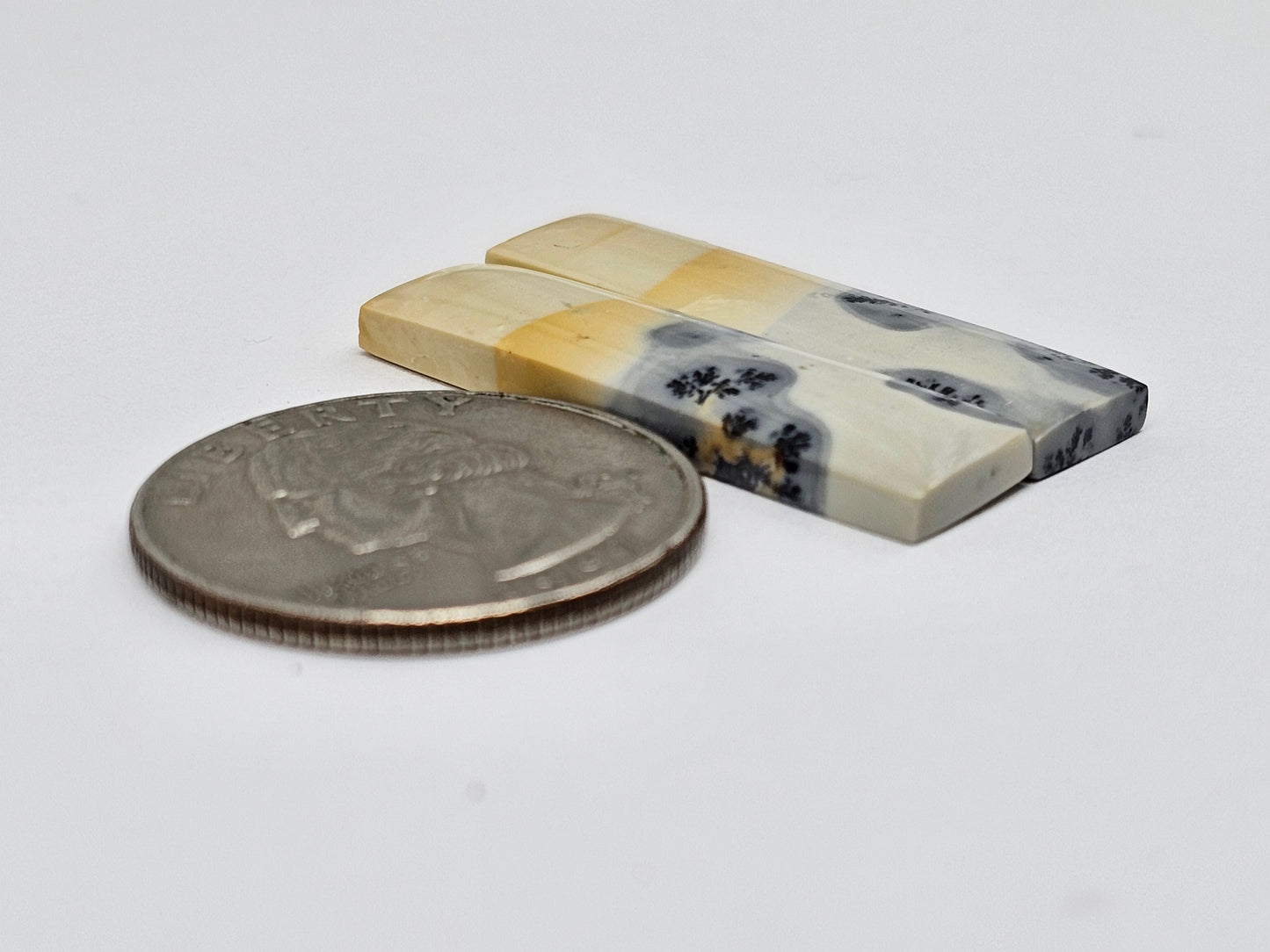 Maligano Jasper Cabochon Pair