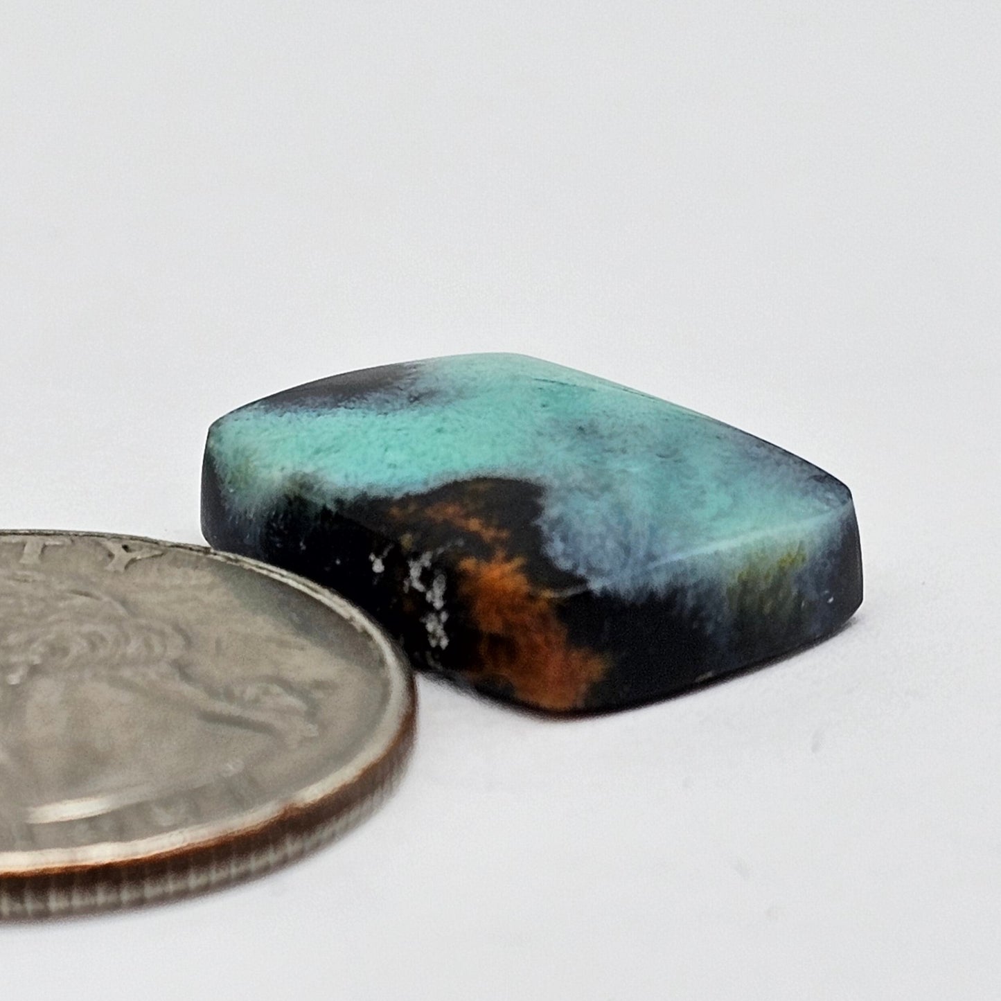 Blue Opal Petrified Wood Cabochon - High Quality