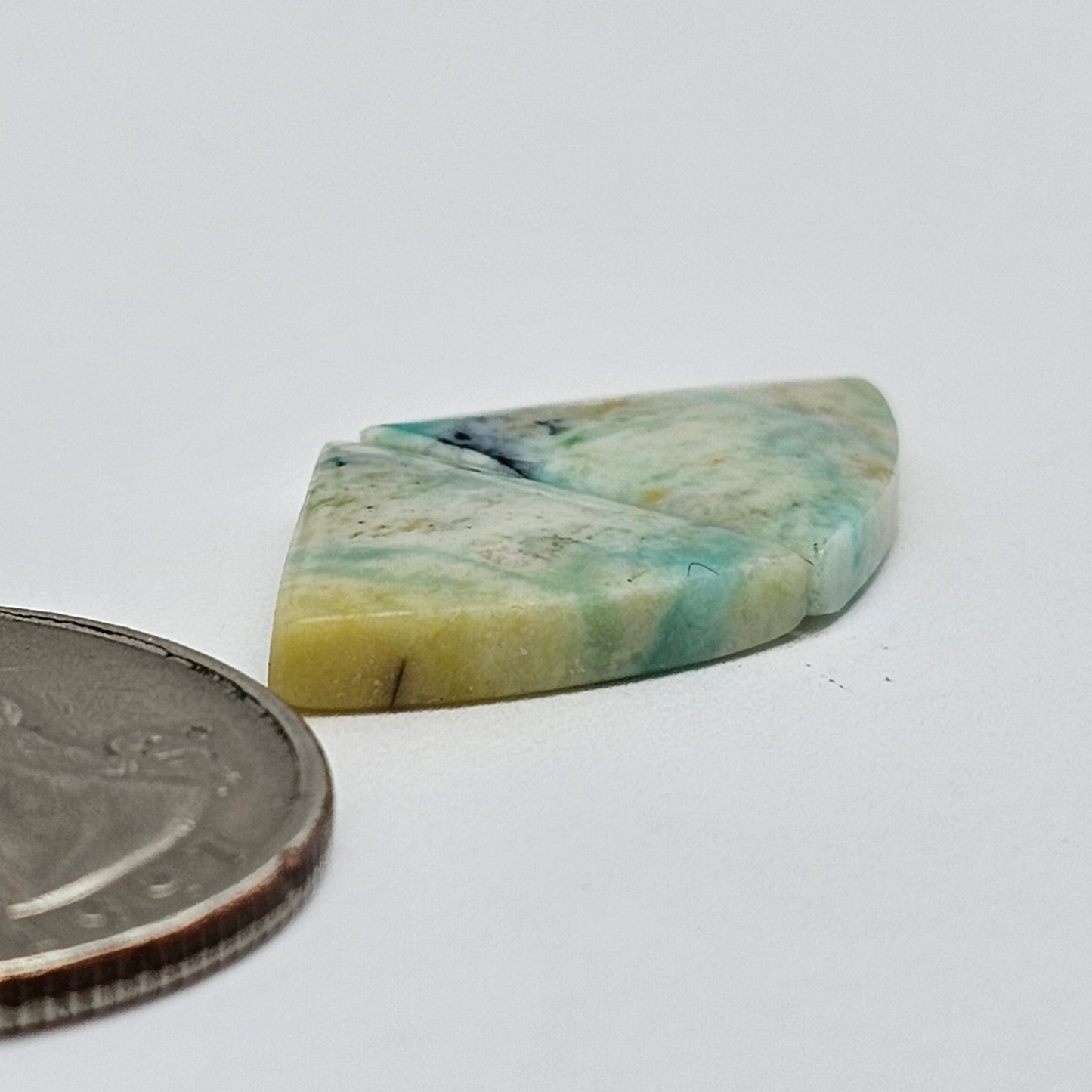 Blue Opal Petrified Wood Cabochon Pair