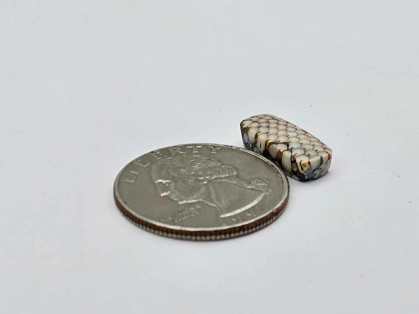 Snake agate cabochon large