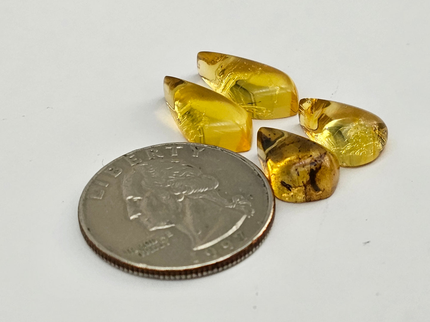 Amber authentic cabochon pair lot