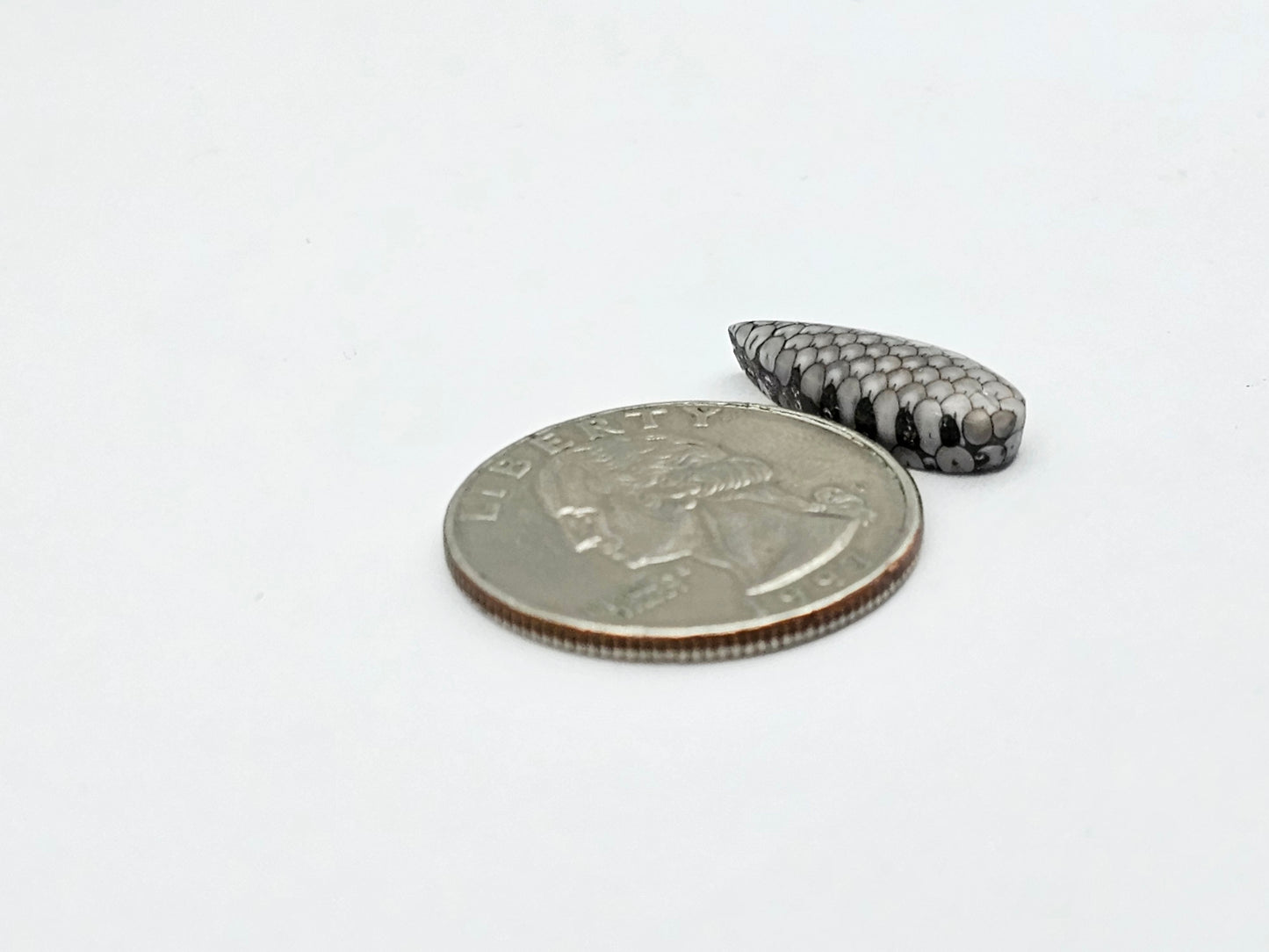 Snake skin agate cabochon