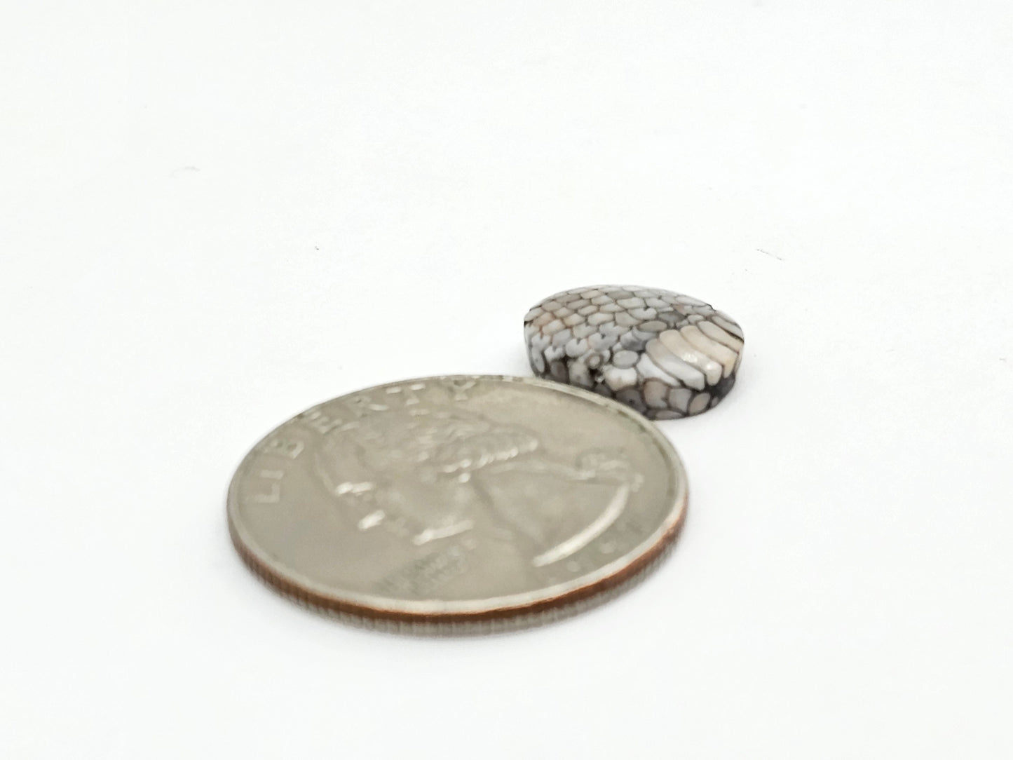 Snake skin agate cabochon