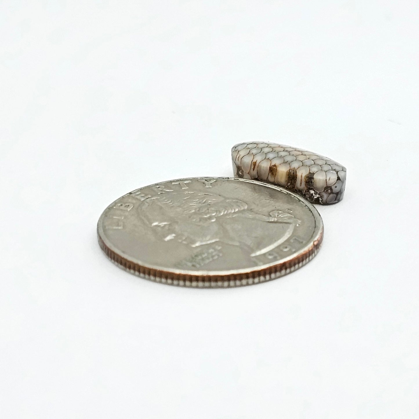 Snake skin agate cabochon