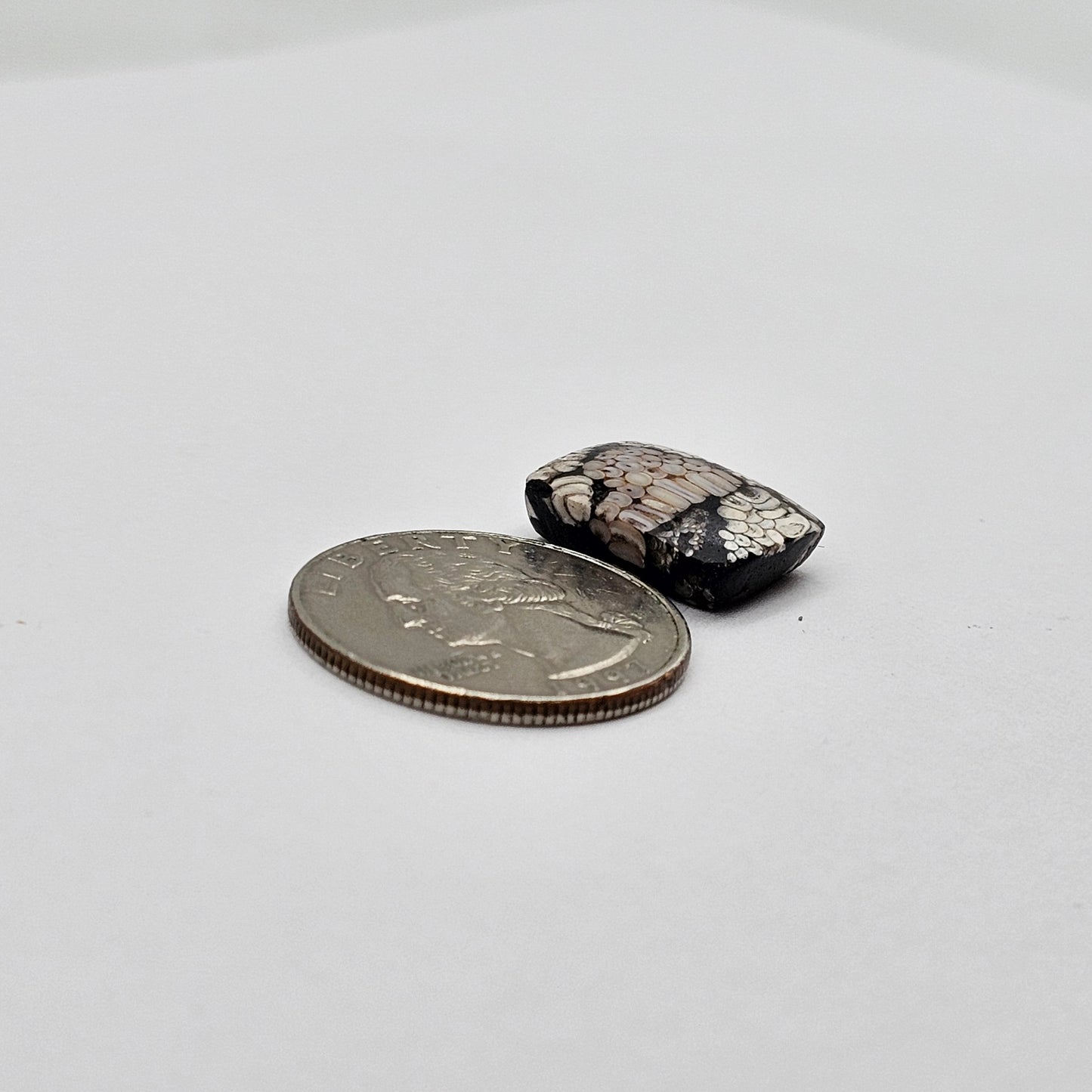Snake skin agate cabochon large