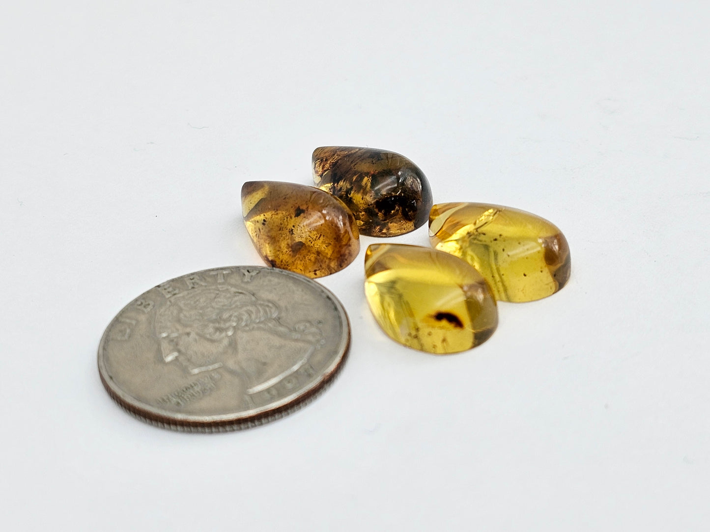 Amber authentic cabochon pair lot