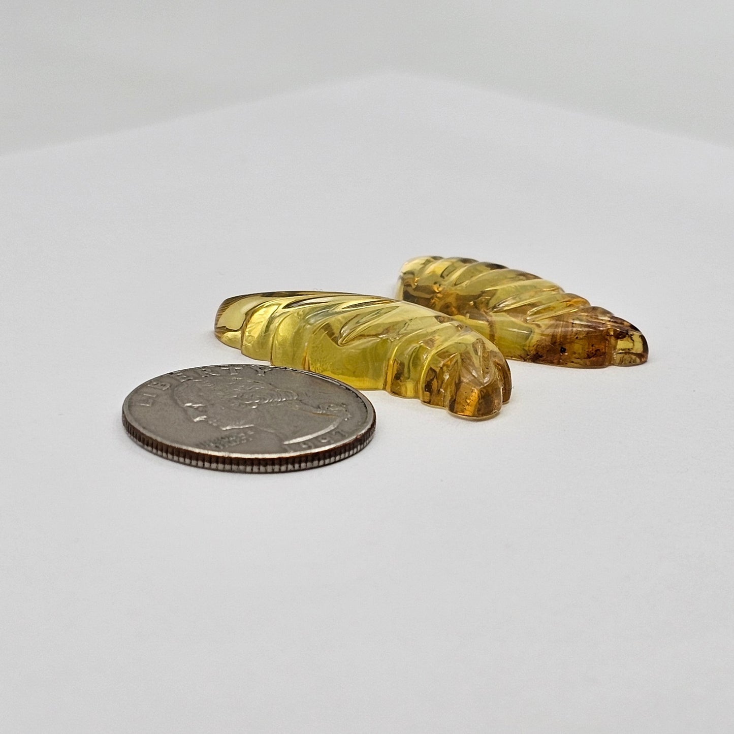 Amber authentic wings cabochon