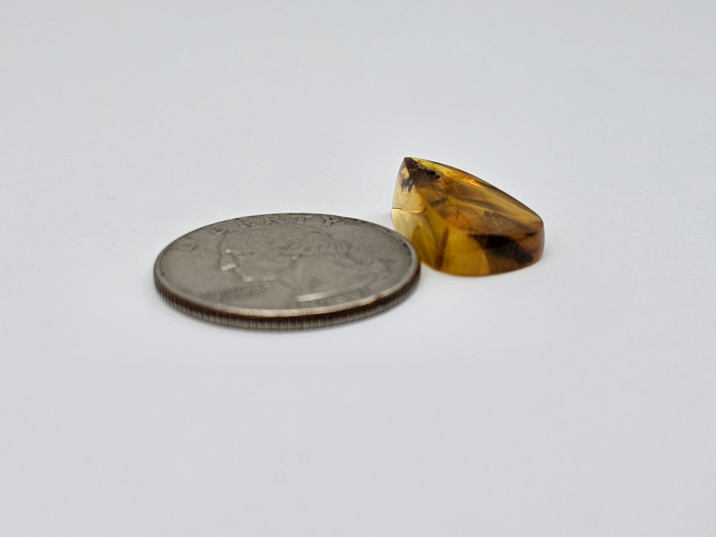 Real amber with insect inclusion