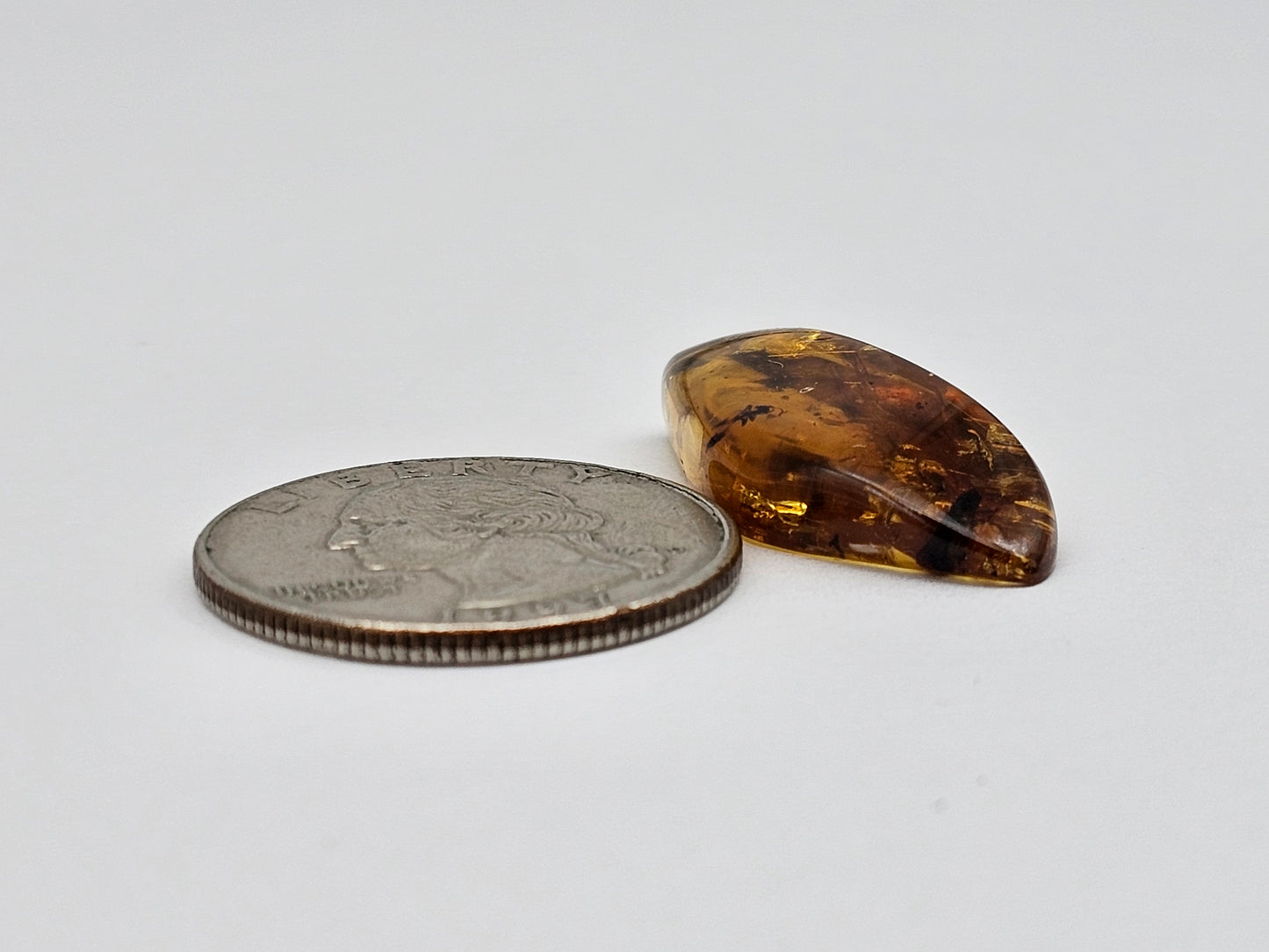 Real amber with insect inclusion