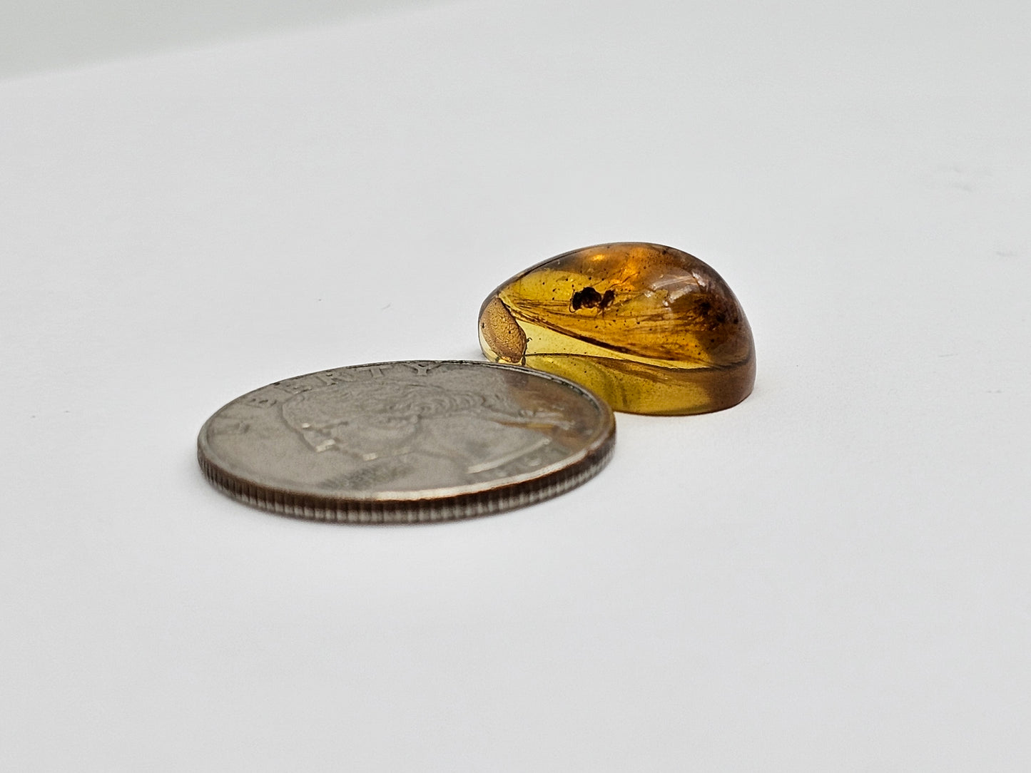 Real amber with insect inclusion