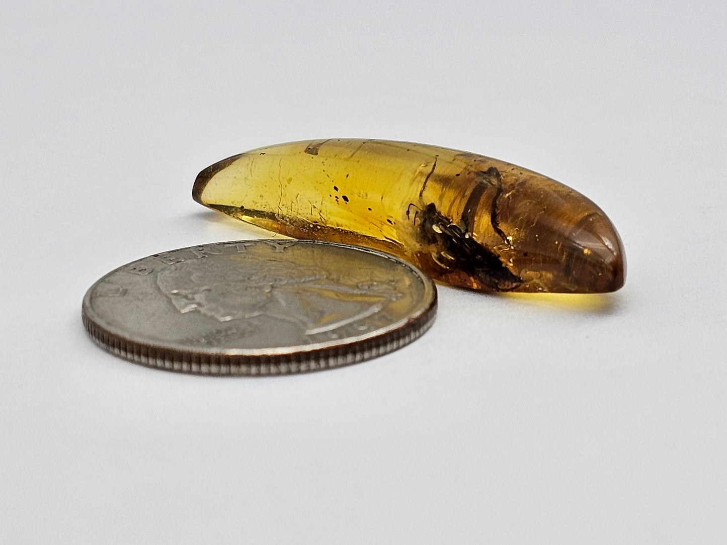 Real amber with insect inclusion
