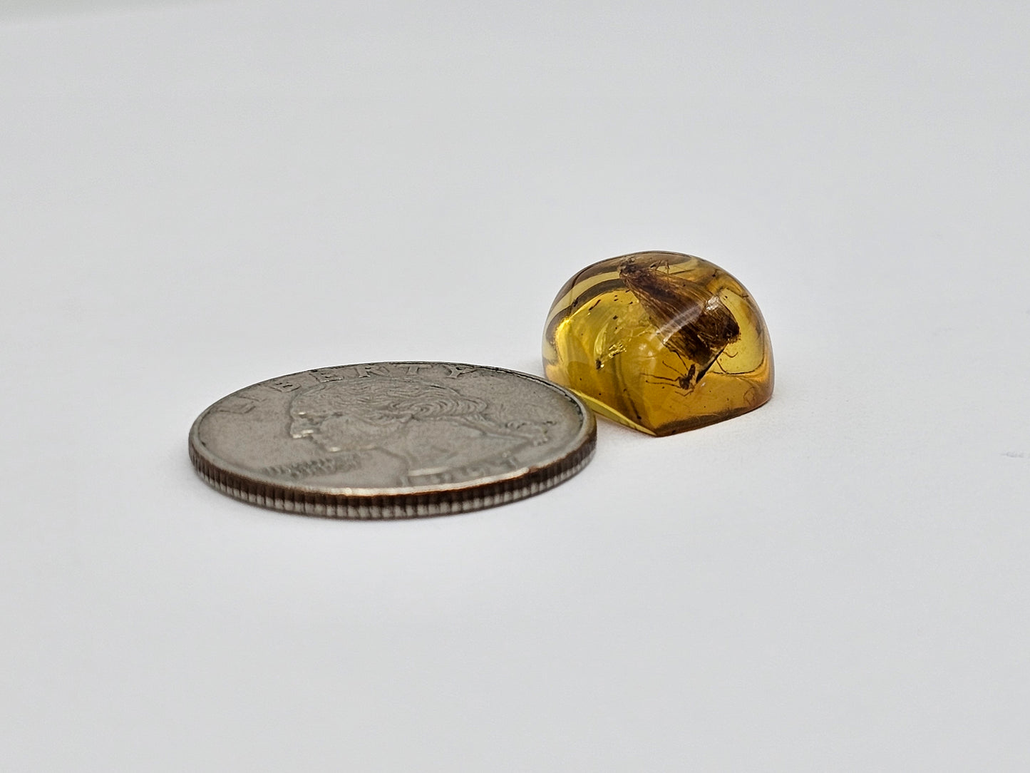 Real amber with insect inclusion