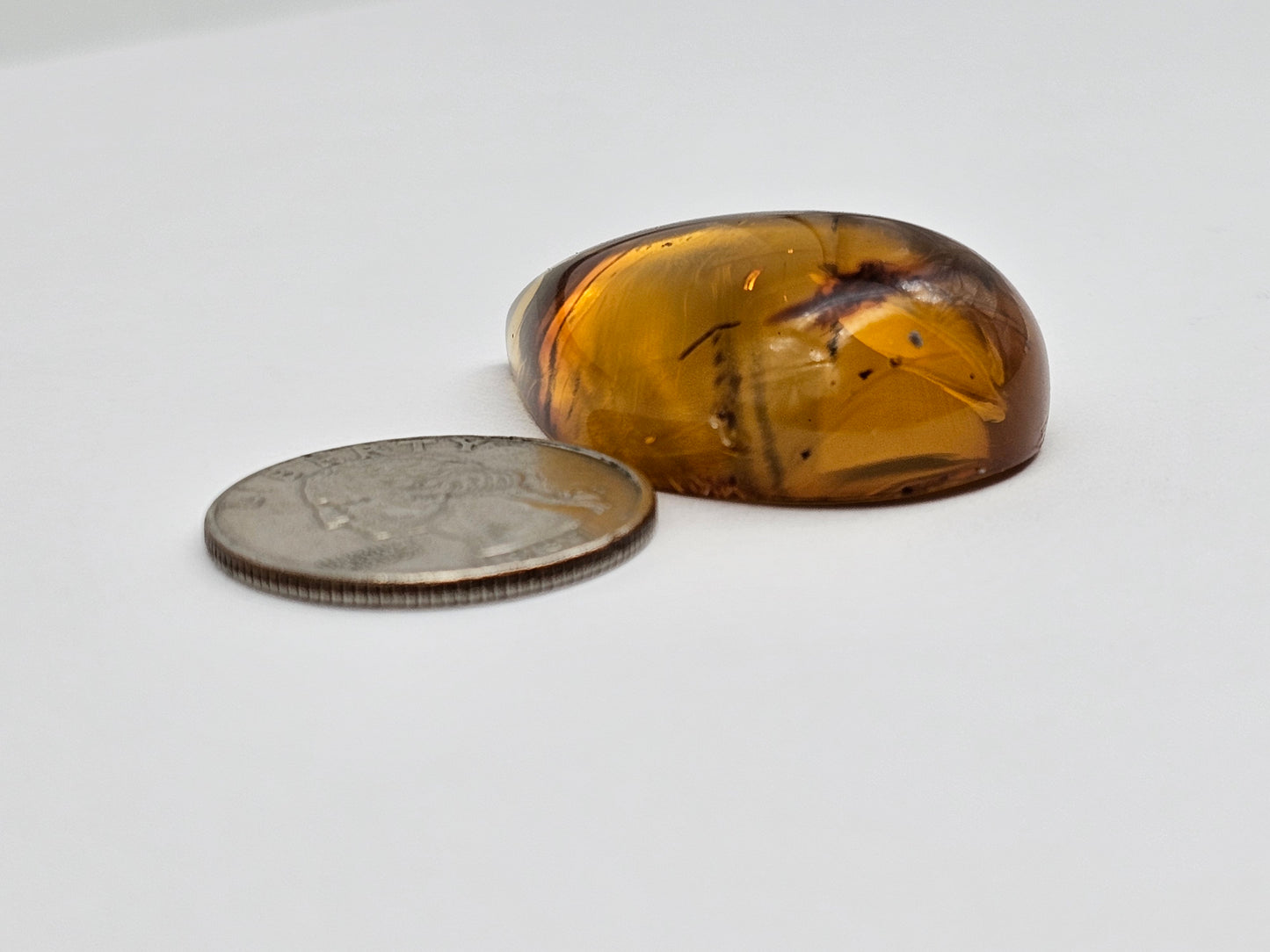 Real amber with insect inclusion