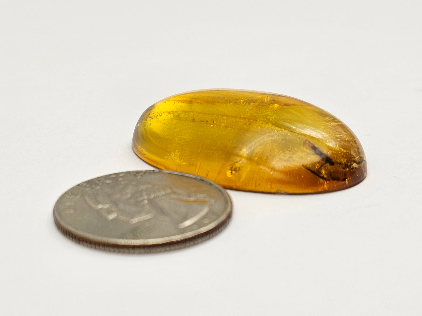 Real amber with insect inclusion