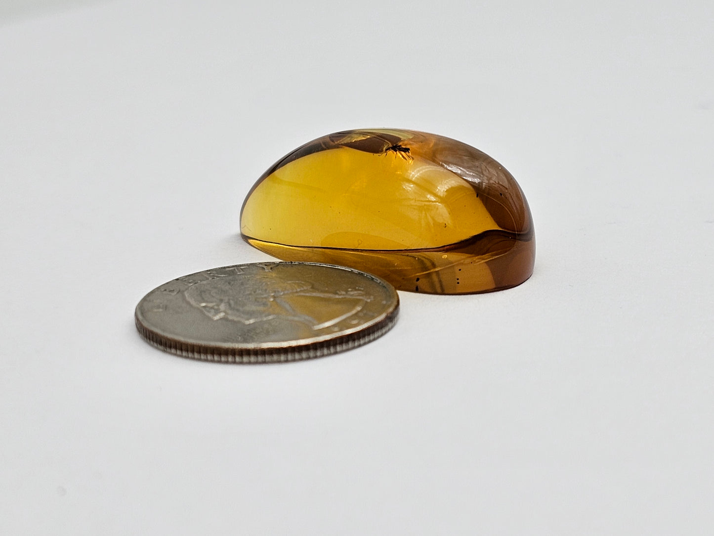 Real amber with insect inclusion