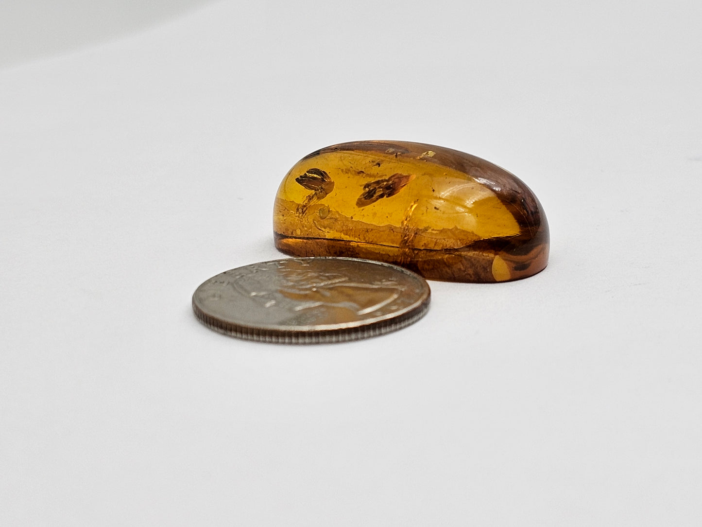 Real amber with insect inclusion