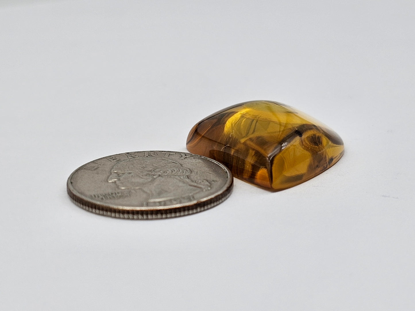 Real amber with insect inclusion