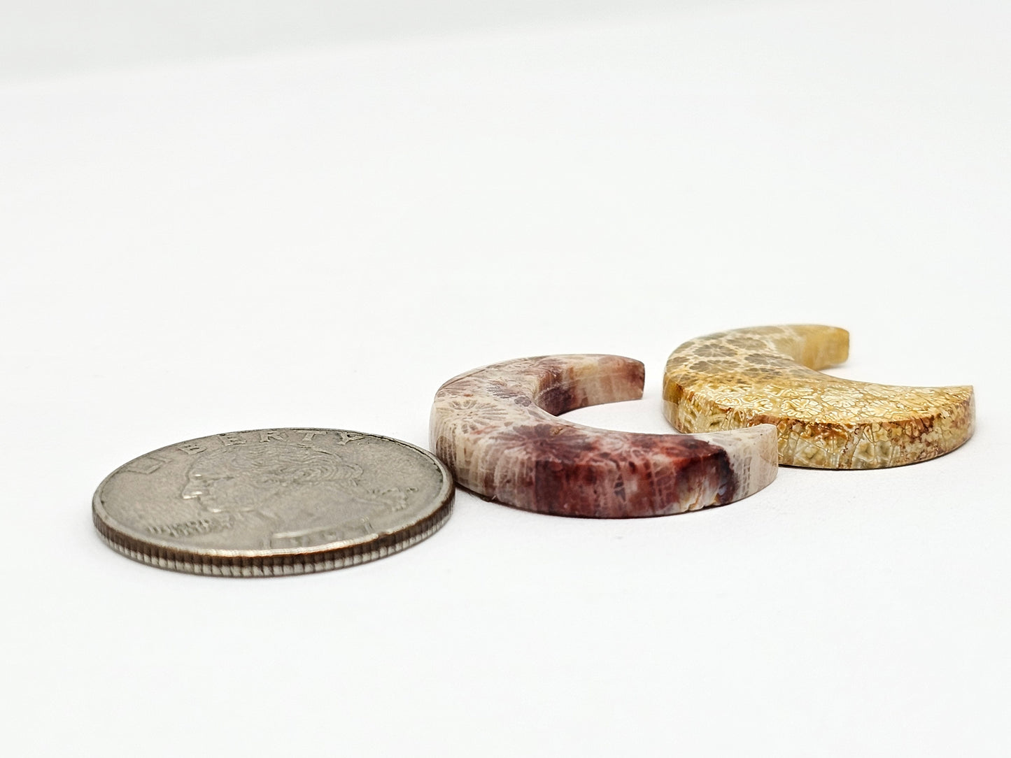 Fossilized Coral Moon Set