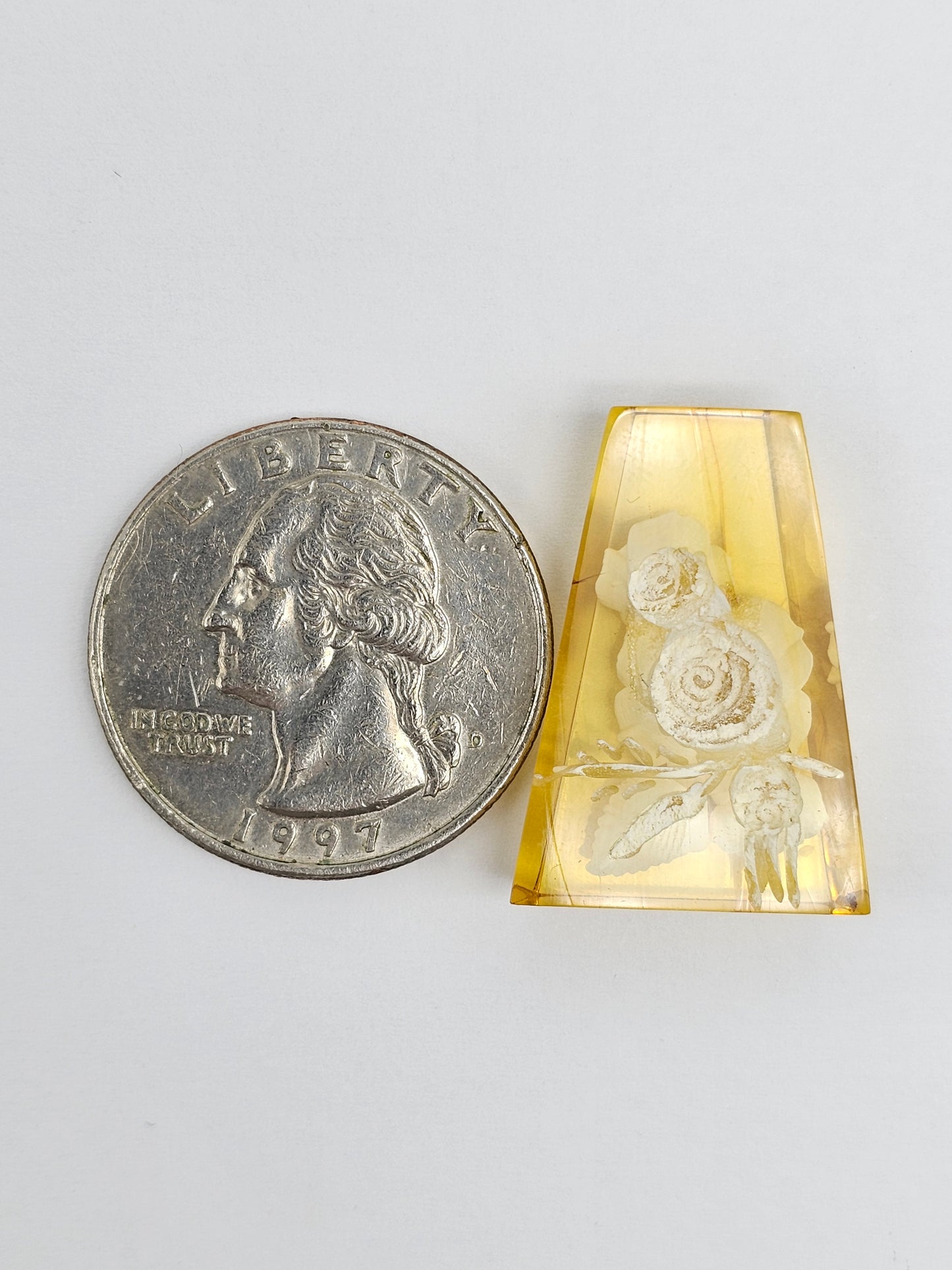 Amber Intaglio Cabochon | Hand-Carved Natural Amber