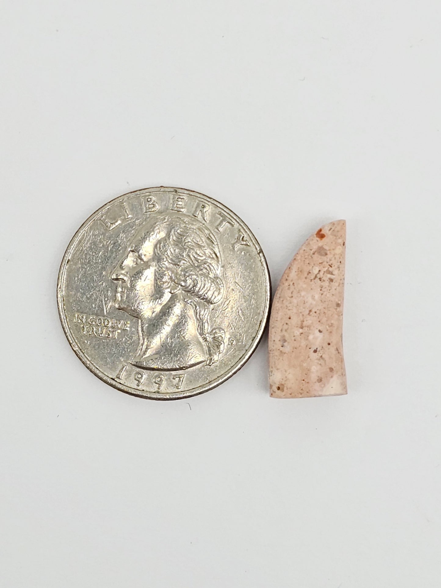 Mexican Cantera Opal Fang Cabochon