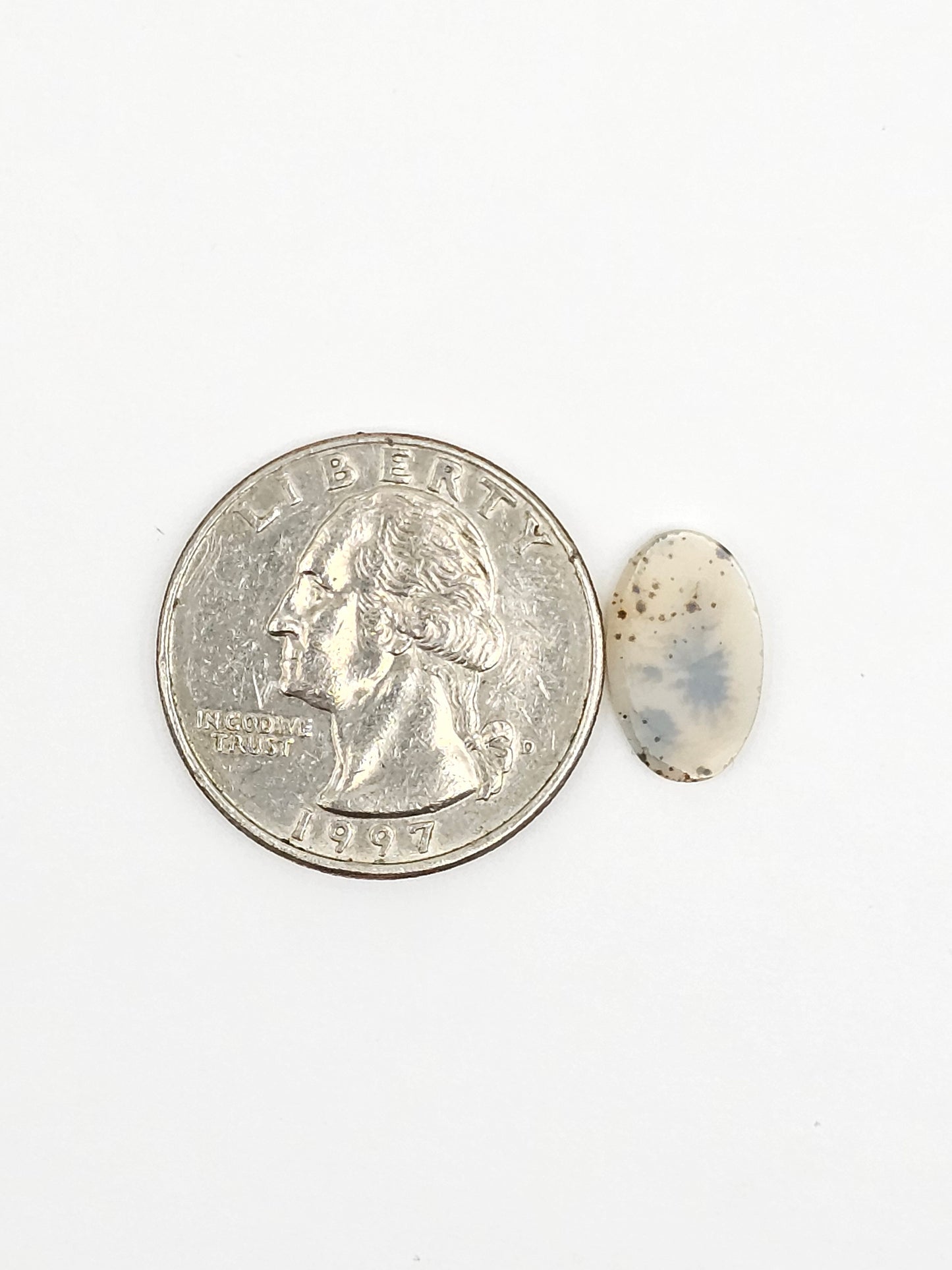 Scenic Dendritic Agate Cabochon – Natural Landscape Stone