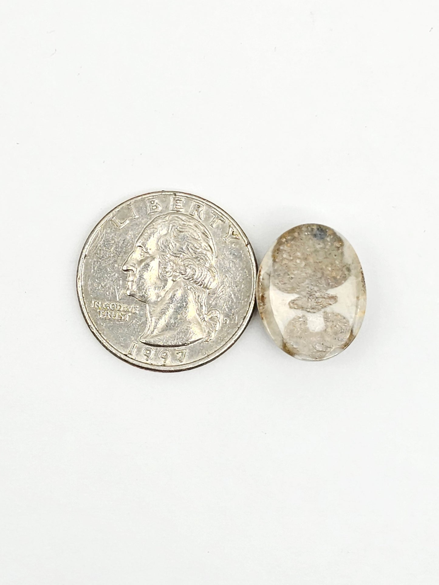 Sea Urchin (Sand Dollar) Fossil Cabochon – Mexican Echinoid