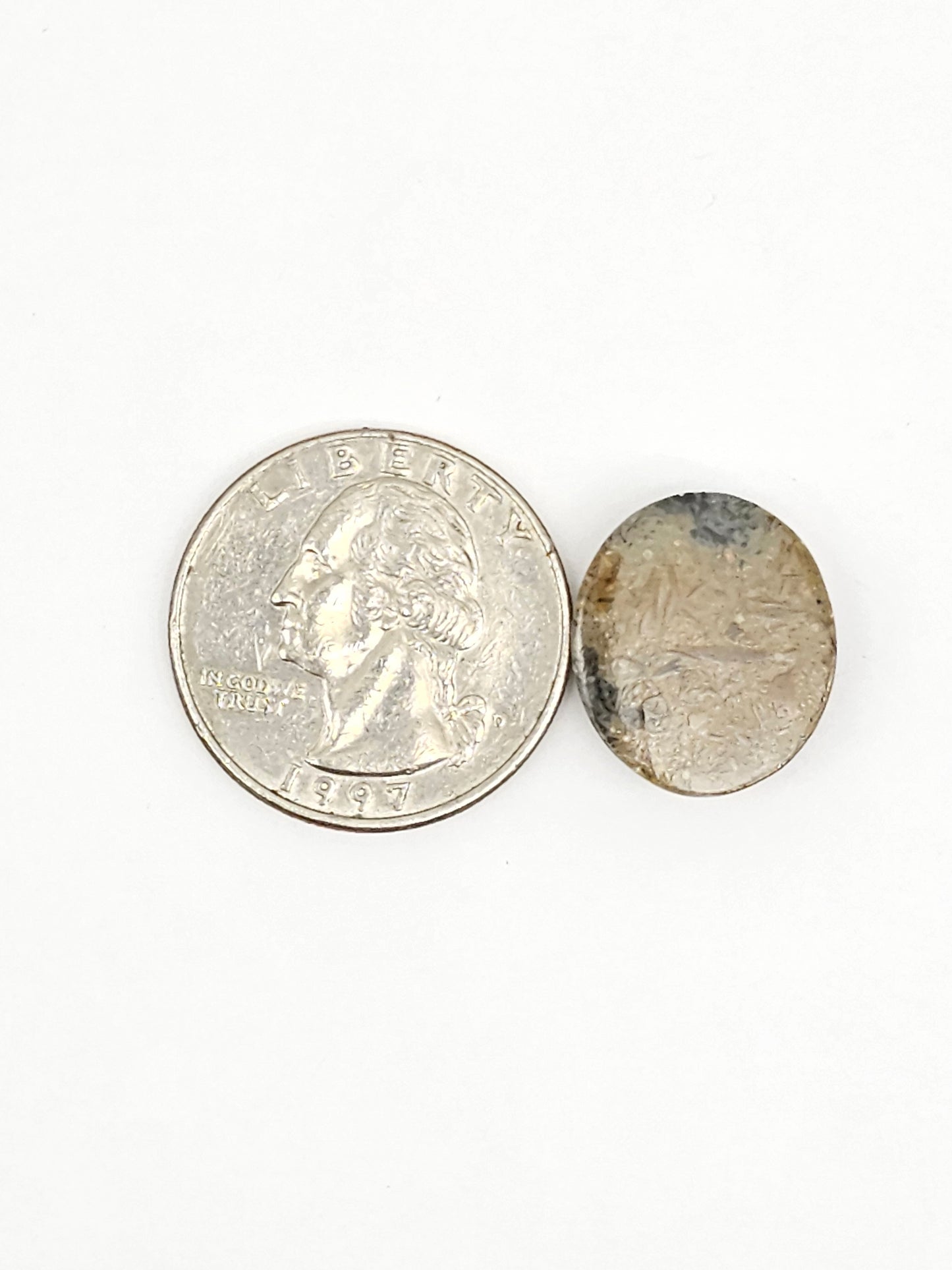 Sea Urchin (Sand Dollar) Fossil Cabochon – Mexican Echinoid