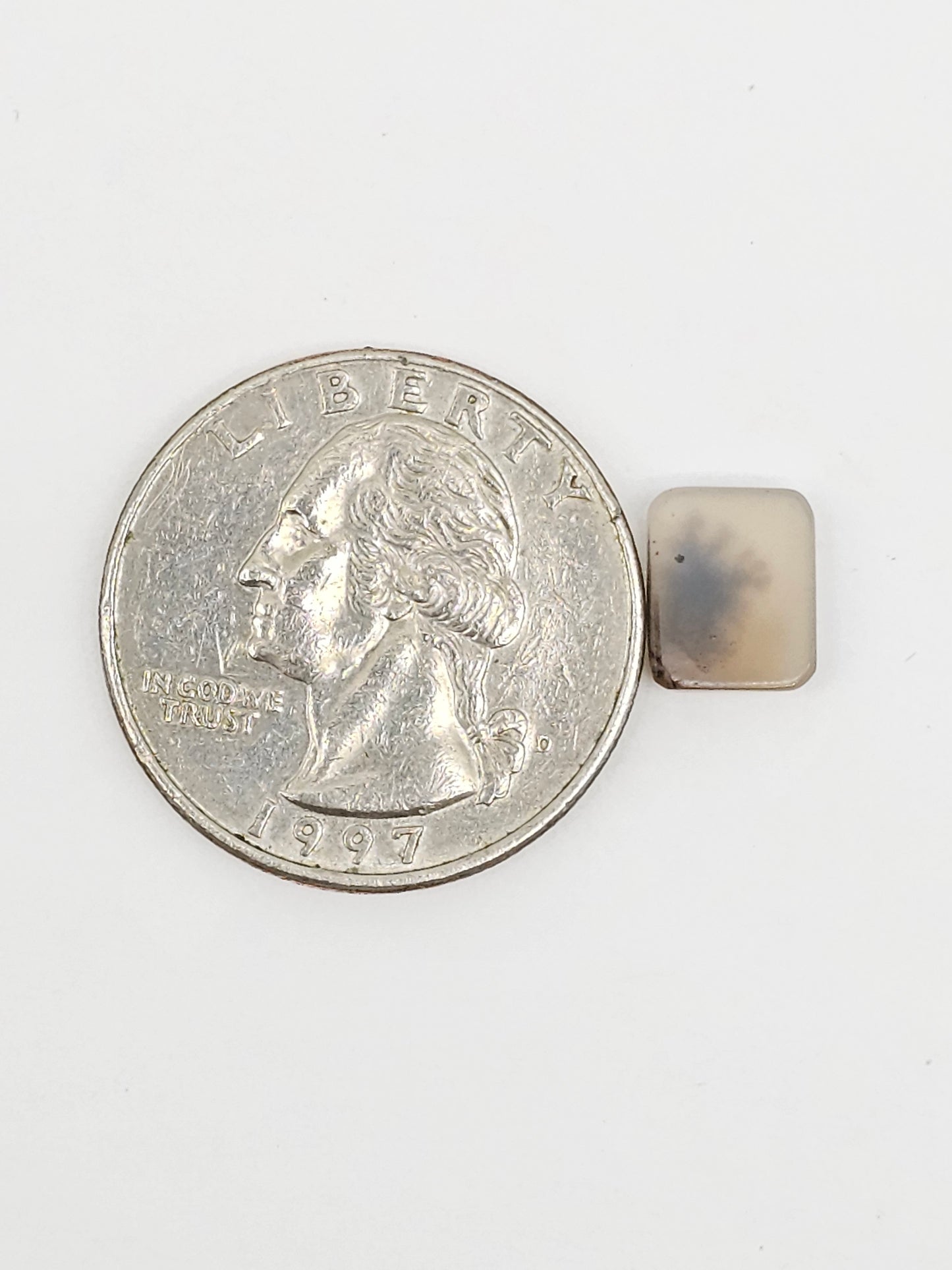 Scenic Dendritic Agate Cabochon – Natural Landscape Stone