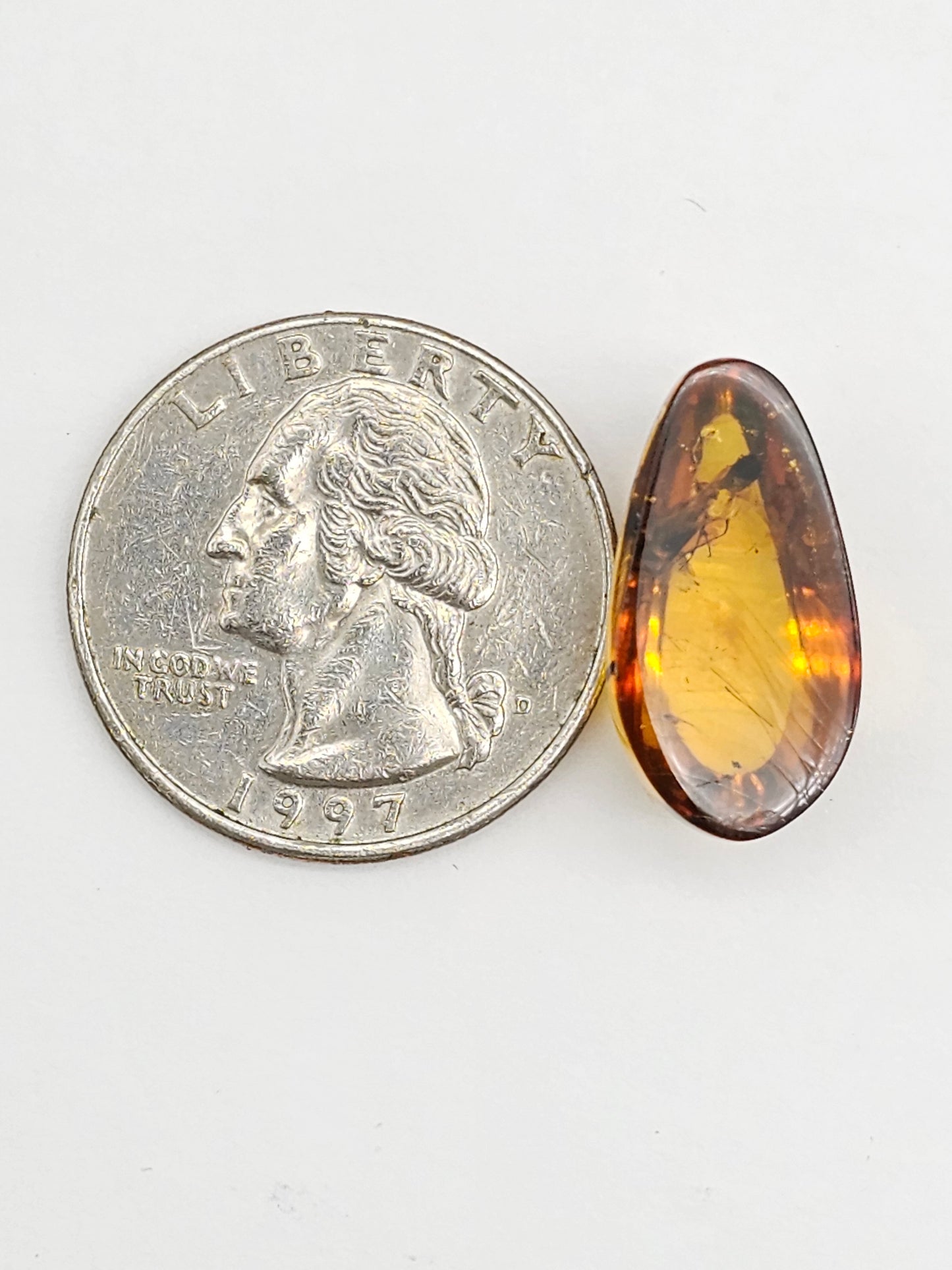 Real amber with insect inclusion