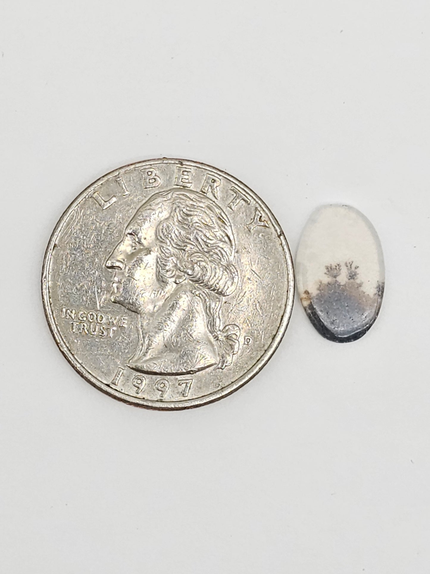Scenic Dendritic Agate Cabochon – Natural Landscape Stone