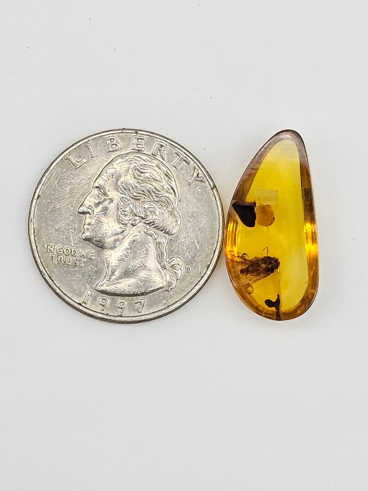 Real amber with insect inclusion