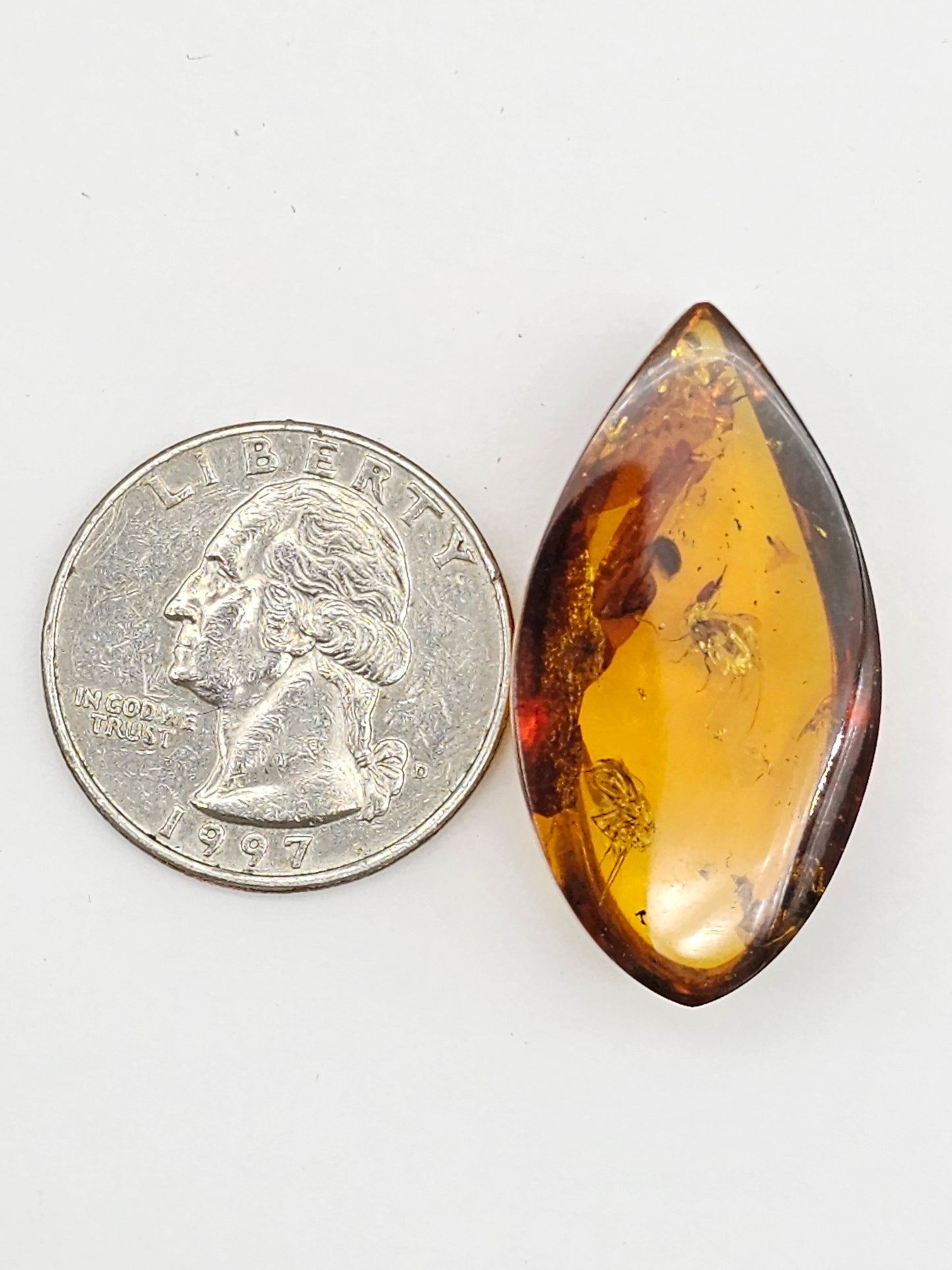 Real amber with insect inclusion
