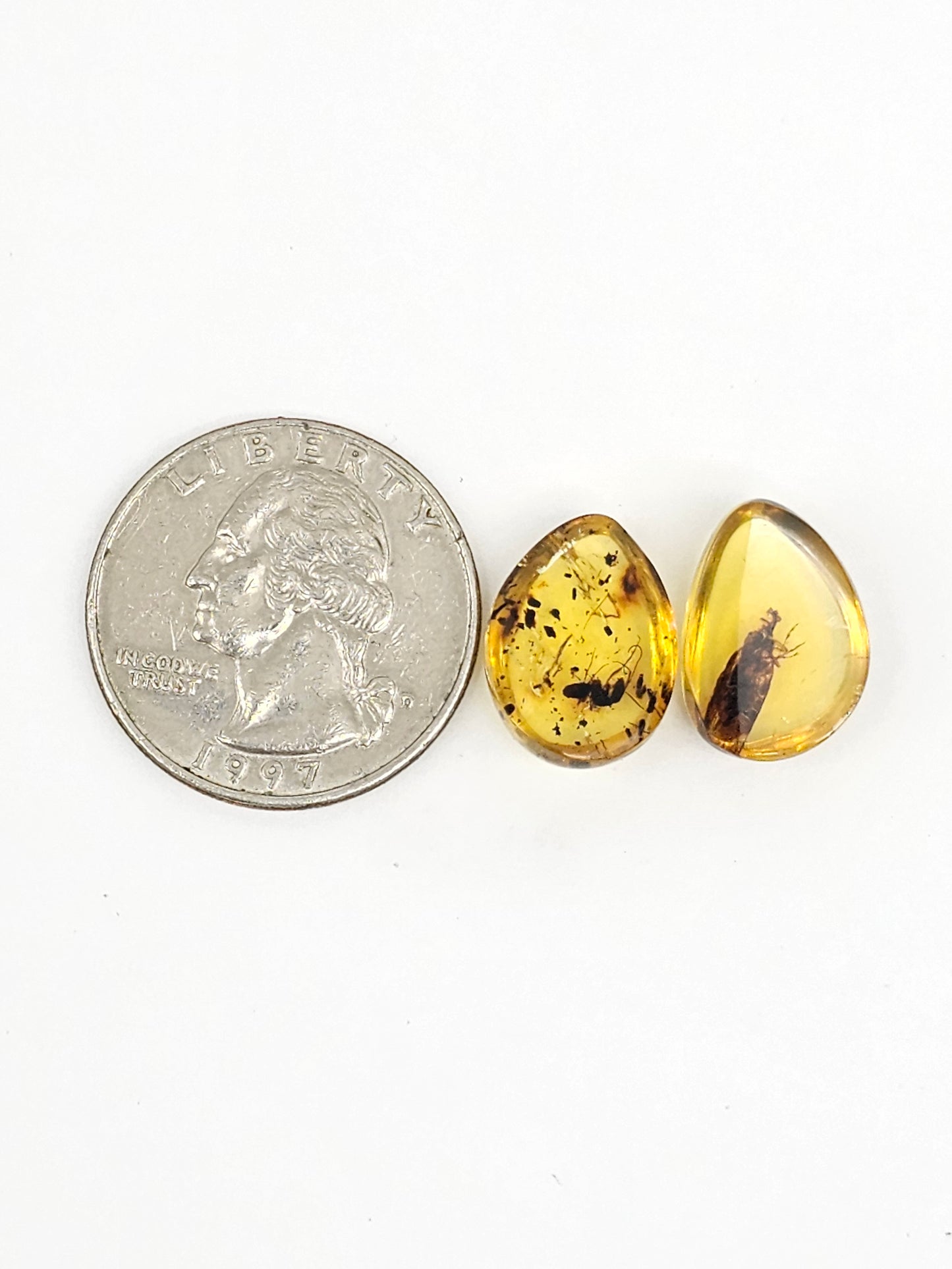 Real amber with insect inclusion pair