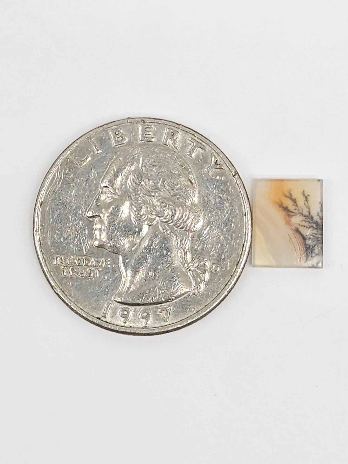 Scenic Dendritic Agate Cabochon – Natural Landscape Stone
