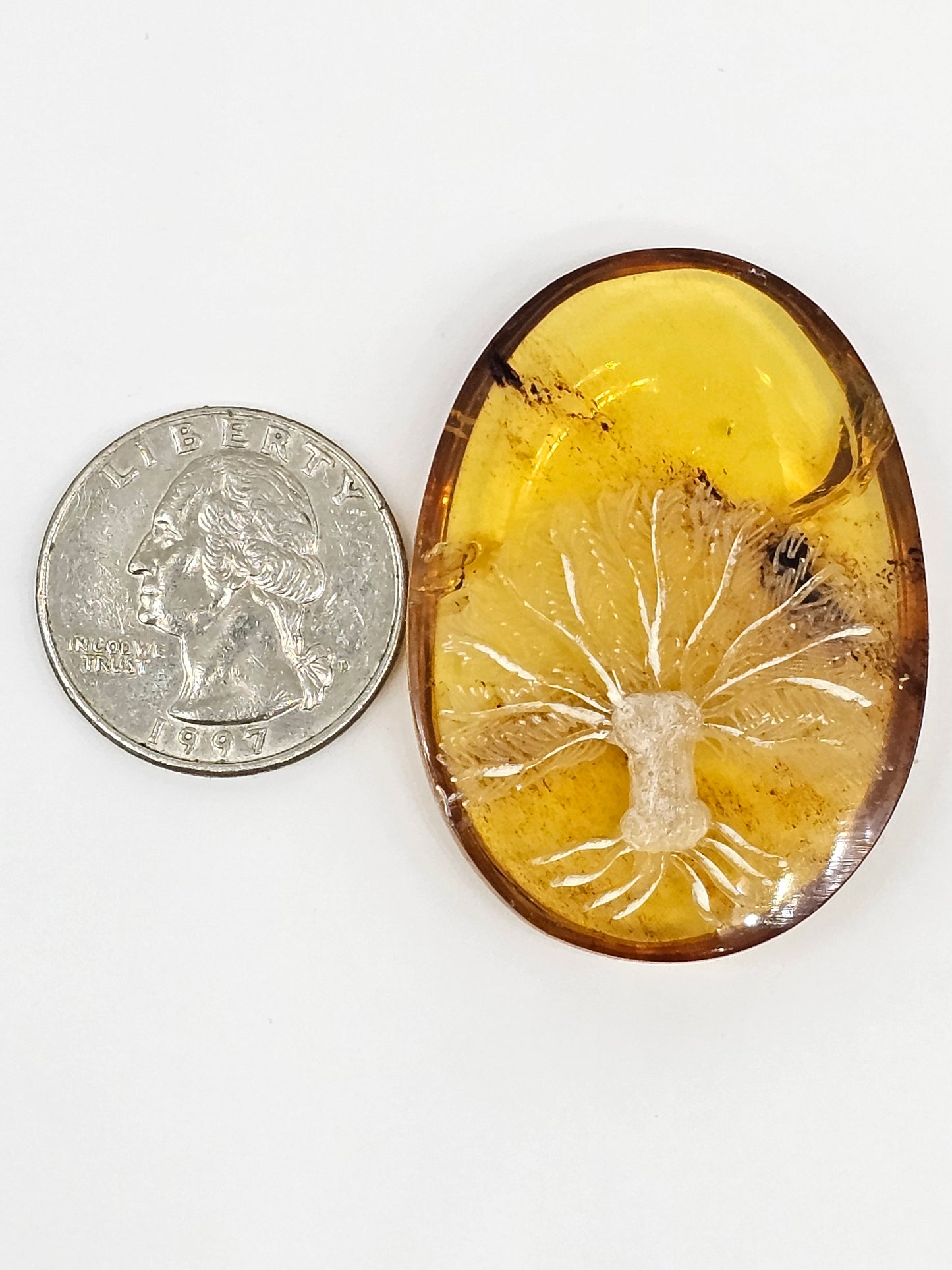 Amber Intaglio Cabochon | Hand-Carved Natural Amber