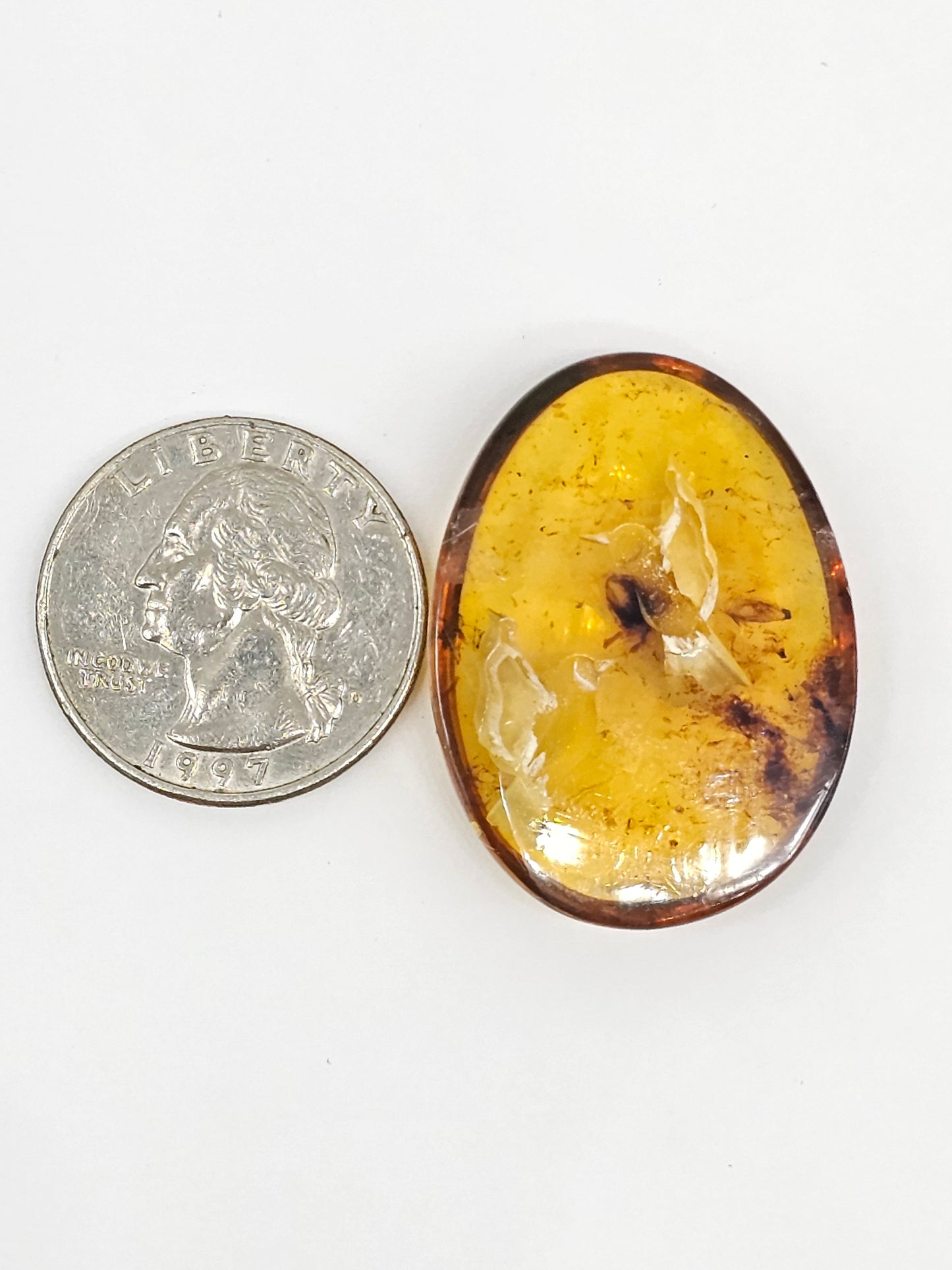 Amber Intaglio Cabochon | Hand-Carved Natural Amber