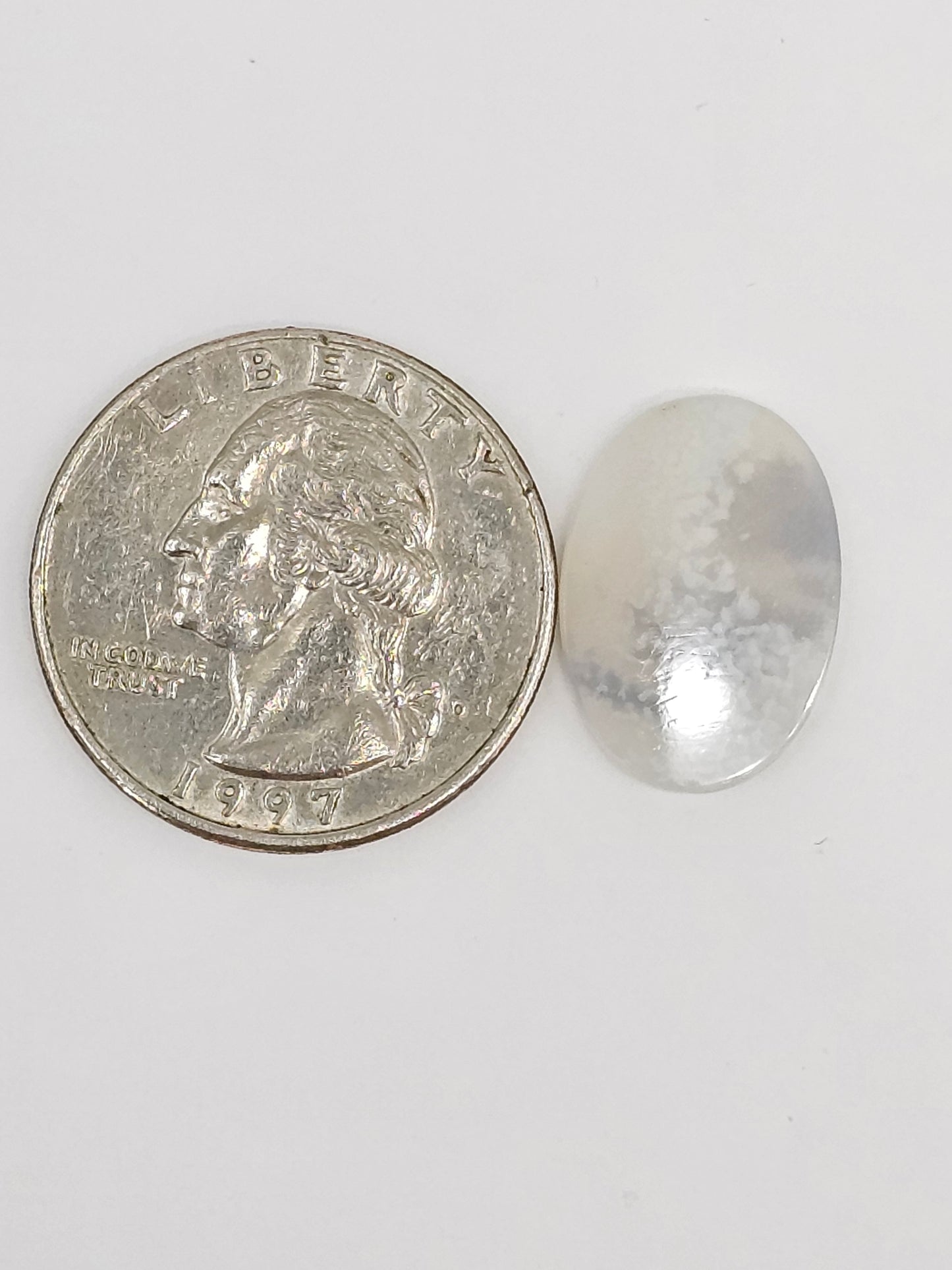 Scenic Dendritic Agate Cabochon – Natural Landscape Stone