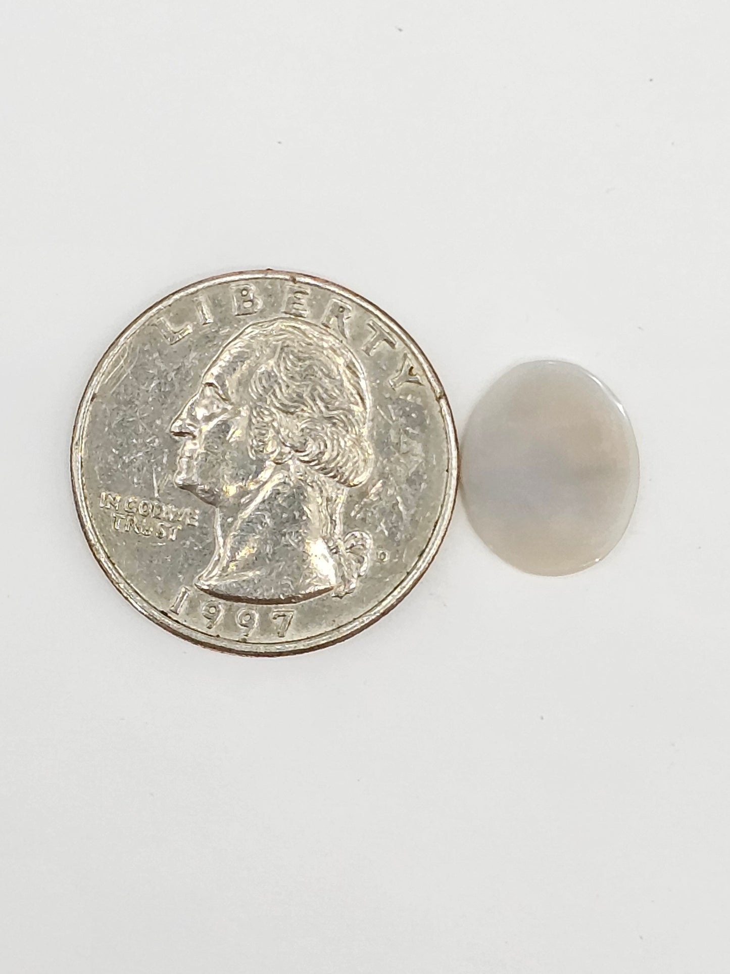 Scenic Dendritic Agate Cabochon – Natural Landscape Stone