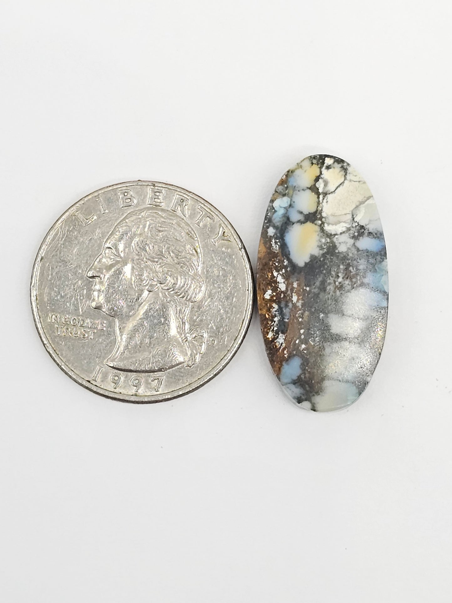 Dark Moon Variscite Cabochon