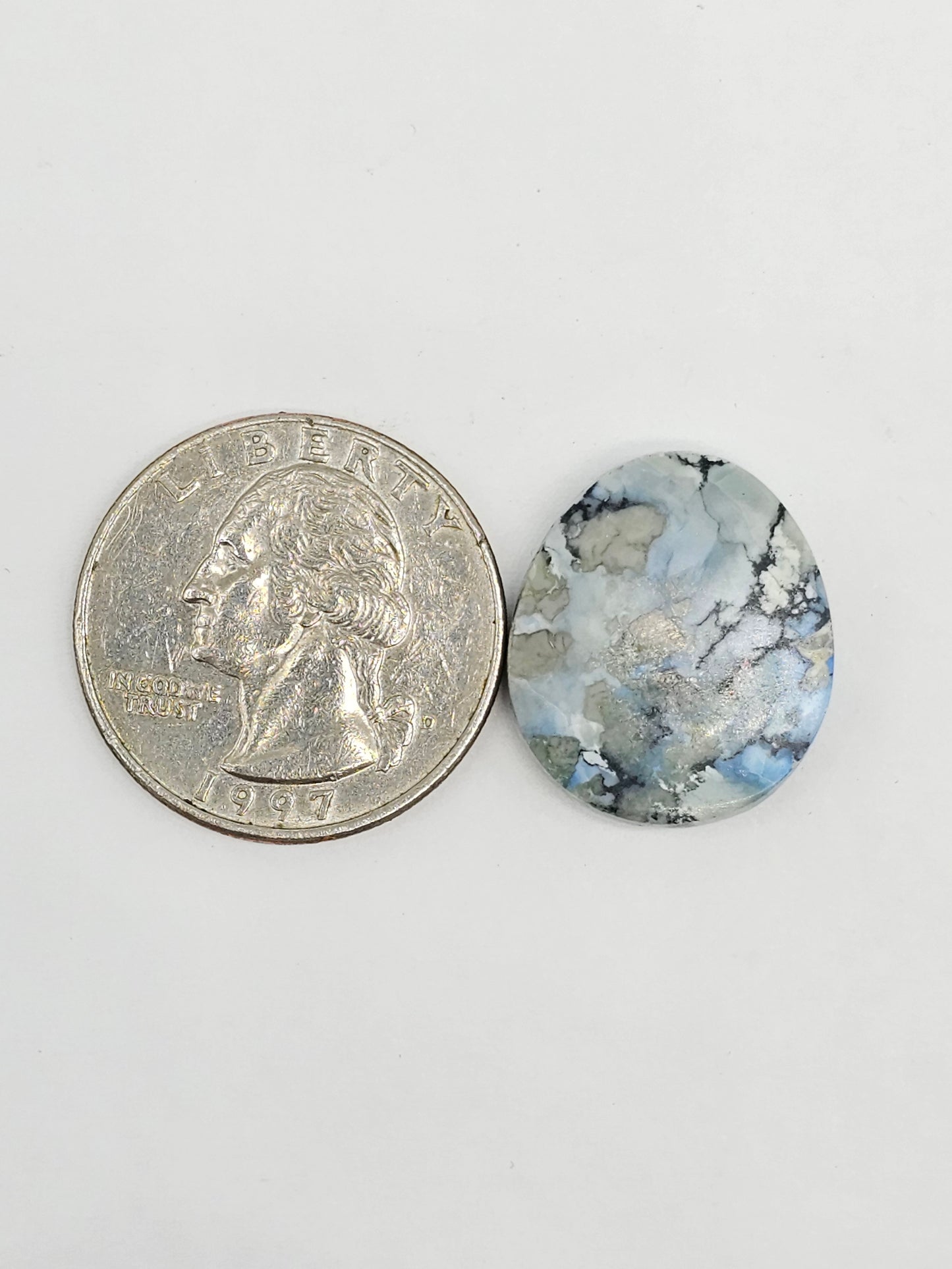 Dark Moon Variscite Cabochon