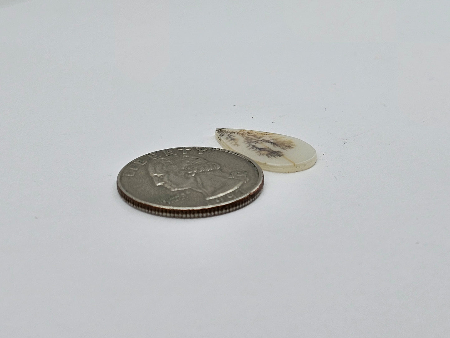 Dentrite agate cabochon large