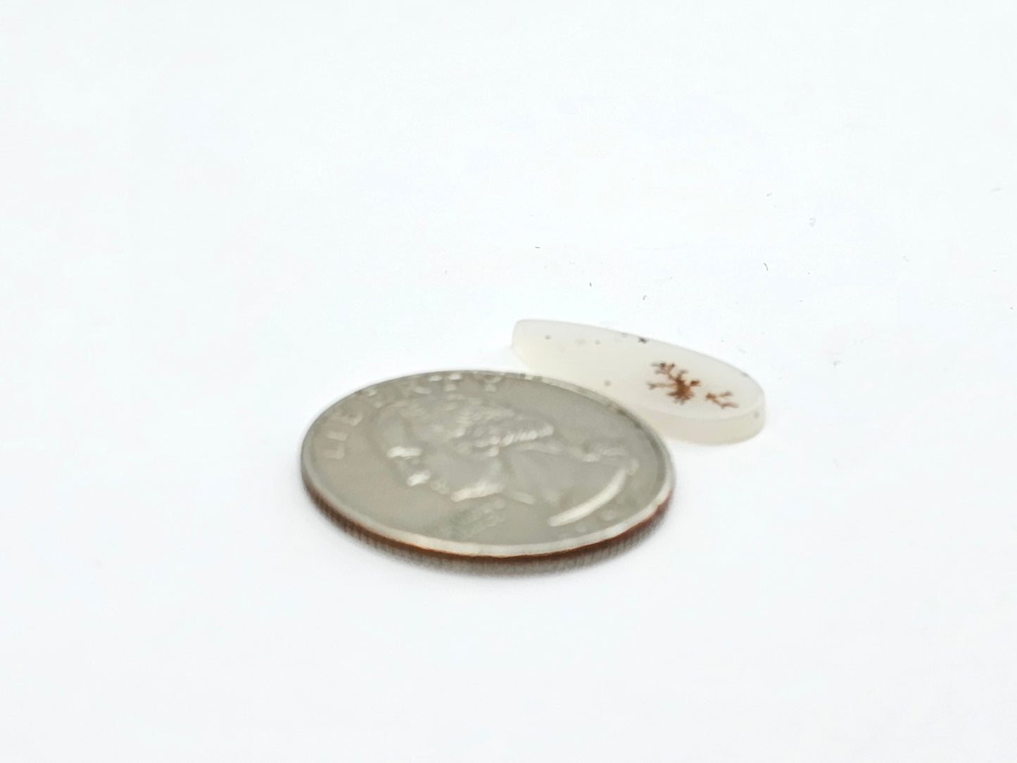 Dentrite agate cabochon large