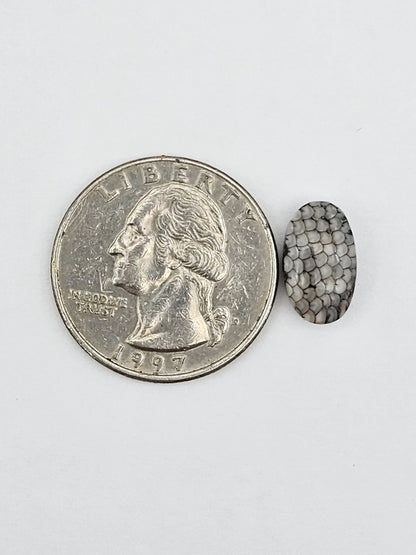 Snake skin agate cabochon