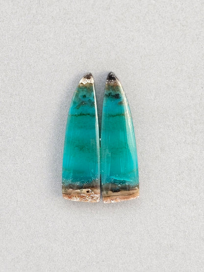 Blue opalized petrified wood Cabochon Pair