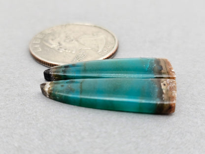 Blue opalized petrified wood Cabochon Pair
