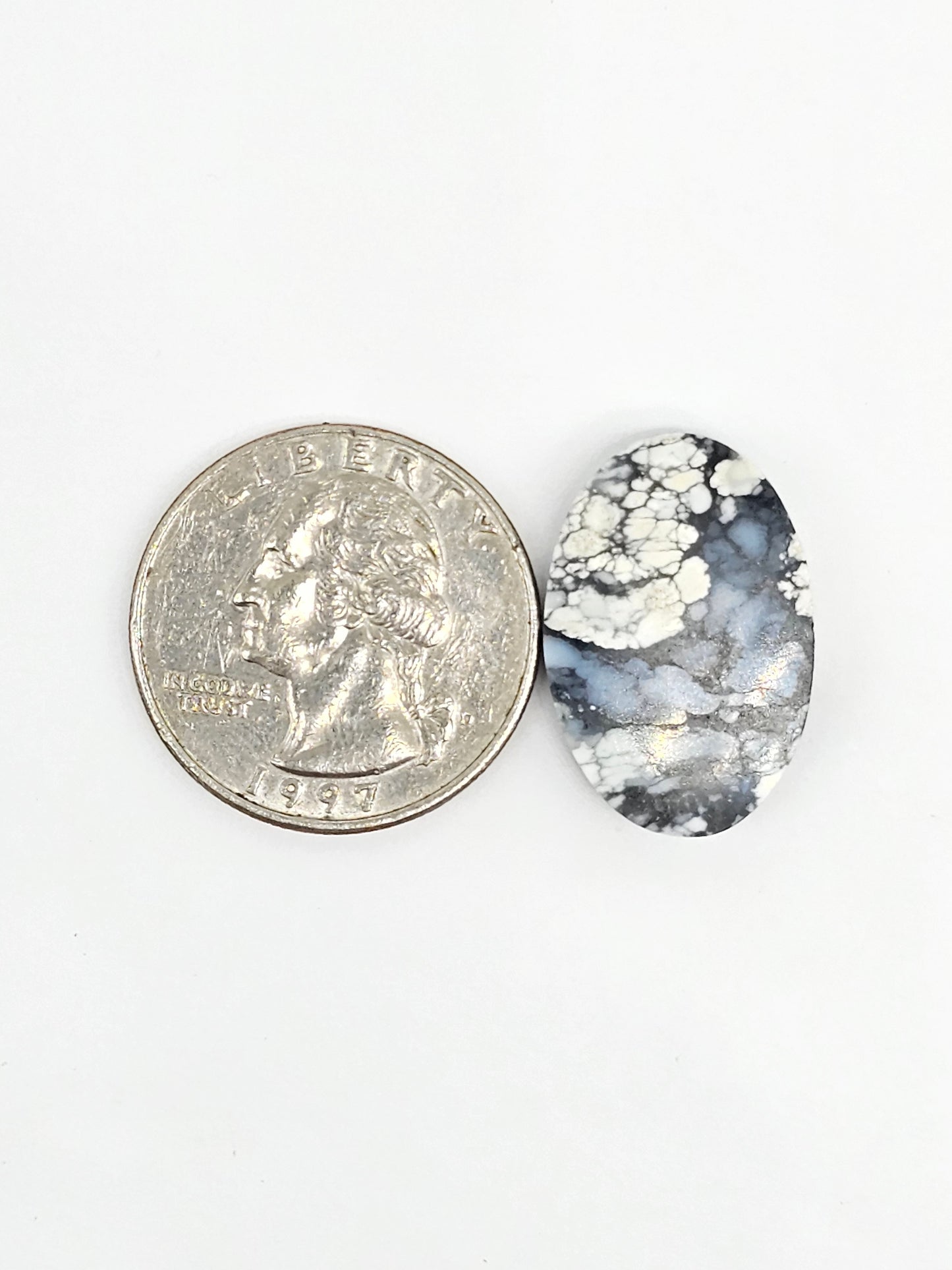 Dark Moon Variscite Cabochon