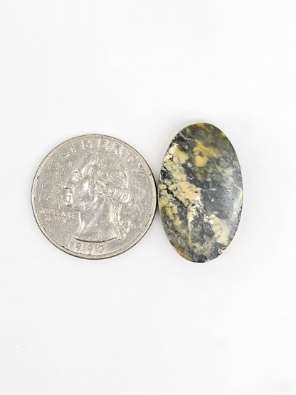 Dark Moon Variscite Cabochon