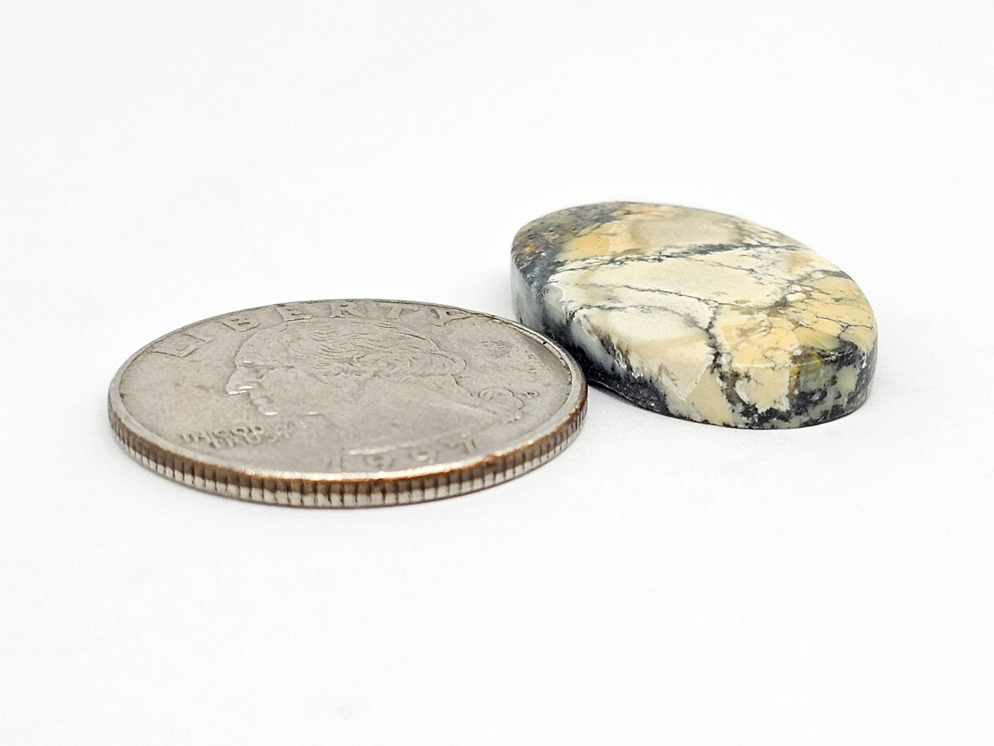 Dark Moon Variscite Cabochon